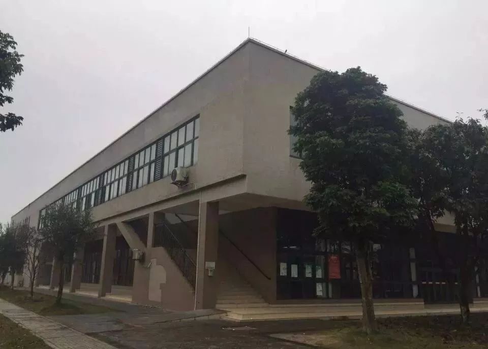 重庆育才高中班型,重庆育才中学各校区排名