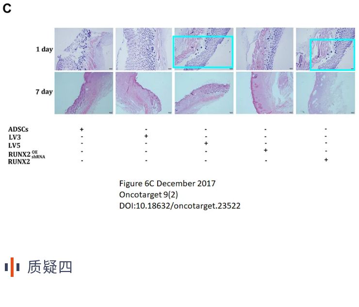 徐州医科大学论文,徐州医科大学发表论文被质疑