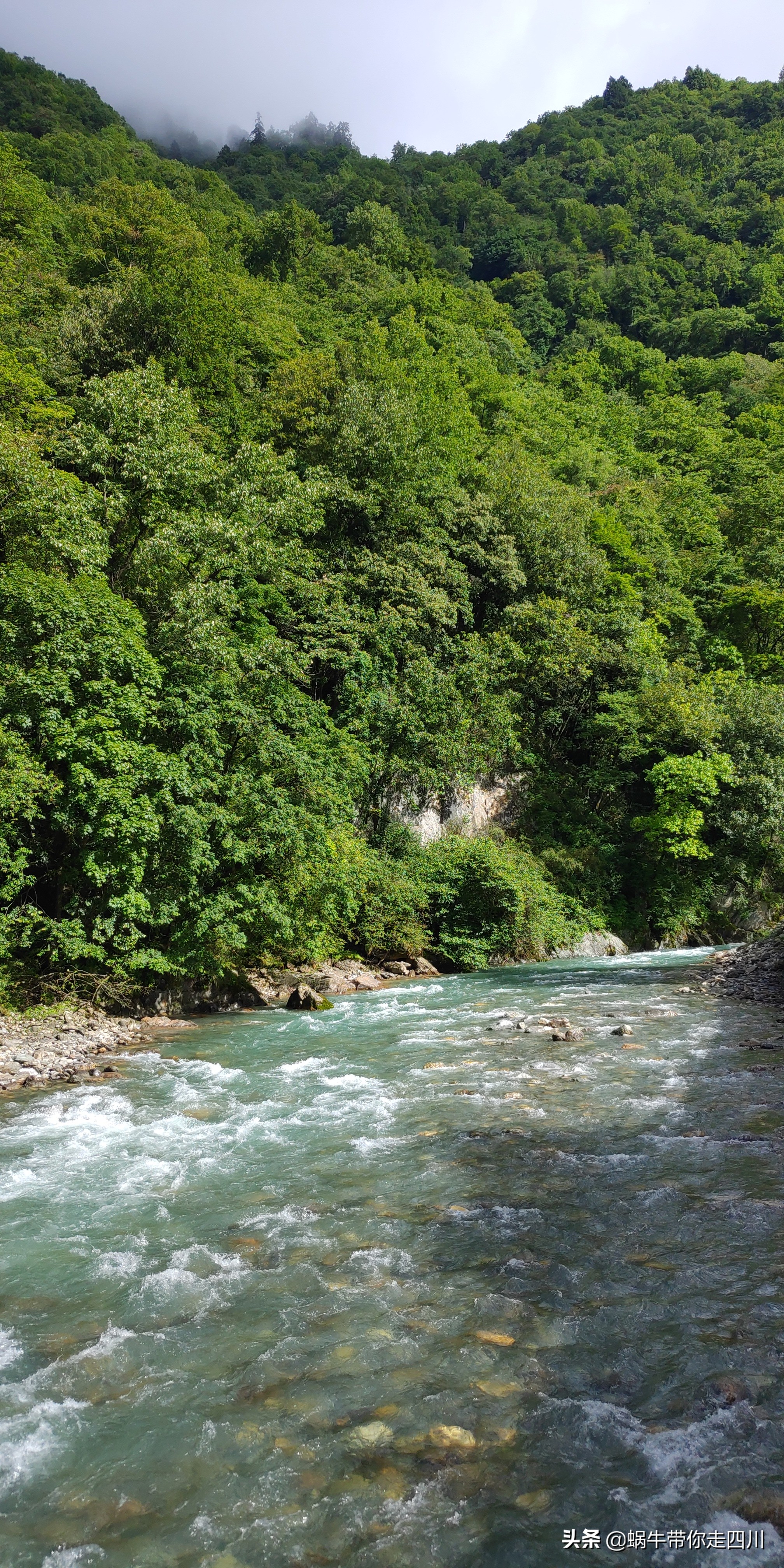 带小朋友出去看小动物,带小孩去海洋动物园