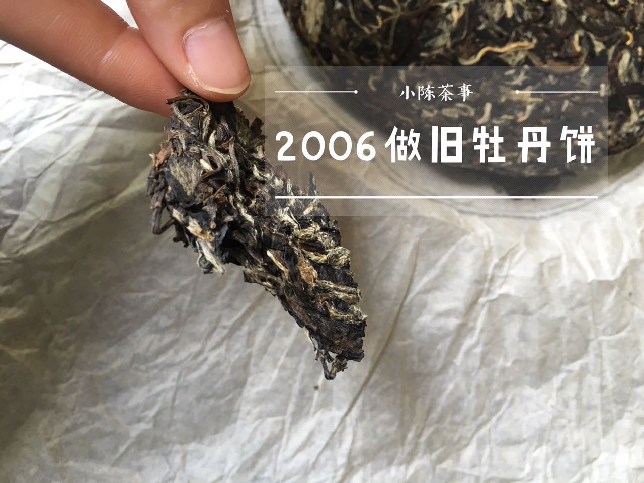 如何识别做旧白茶,认清做旧白茶其实很简单