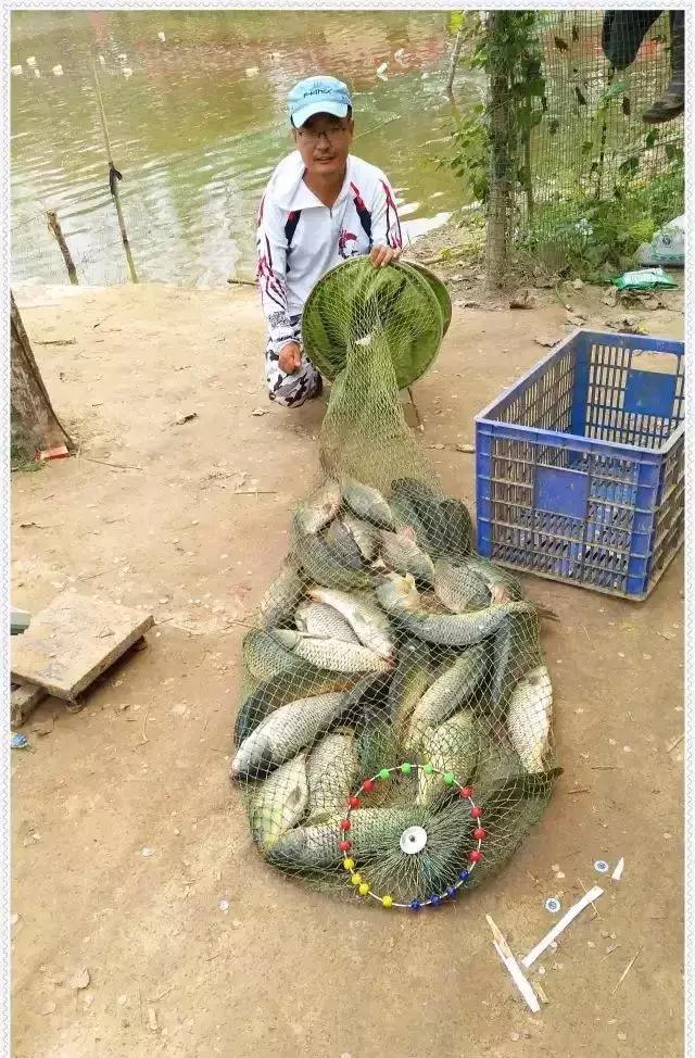 2019年野钓笔记,2020年的钓鱼总结