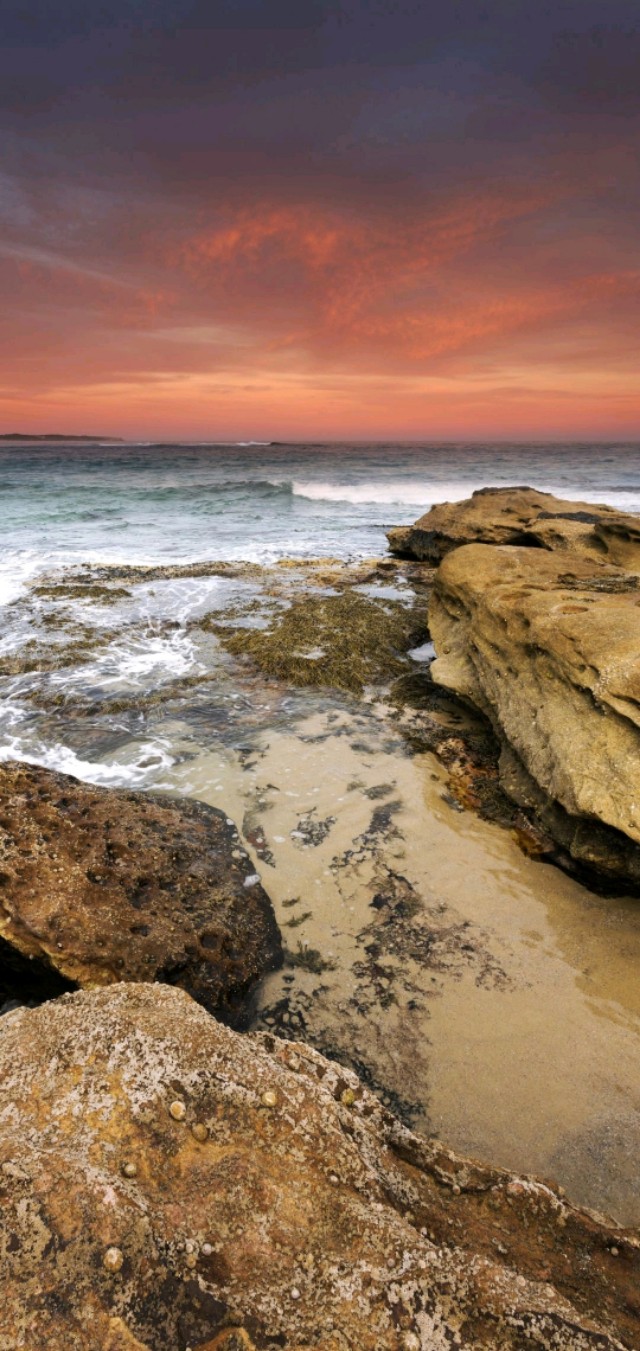 壁纸超清风景动物老虎,壁纸萌宠老虎