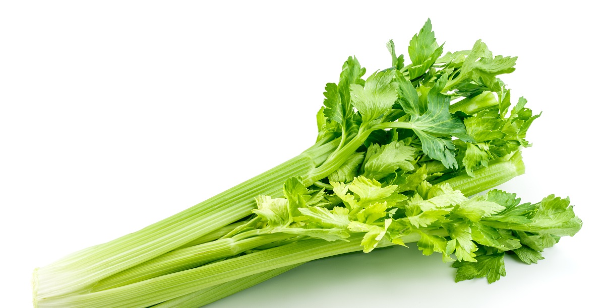 女性月经不正常会引起什么病,女性月经不规律会导致什么