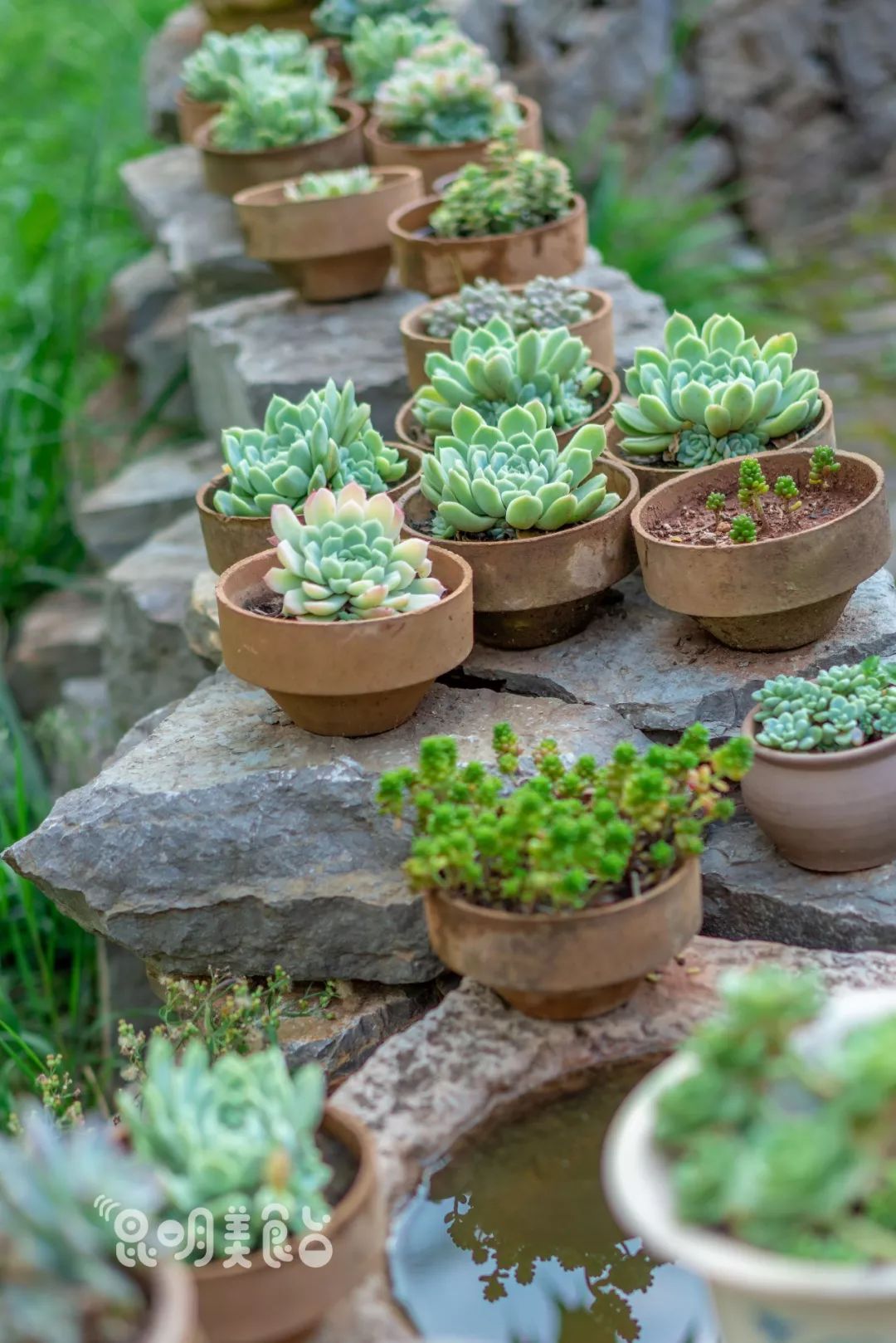 昆明高原明珠牛头宴,昆明附近哪里有世外桃源