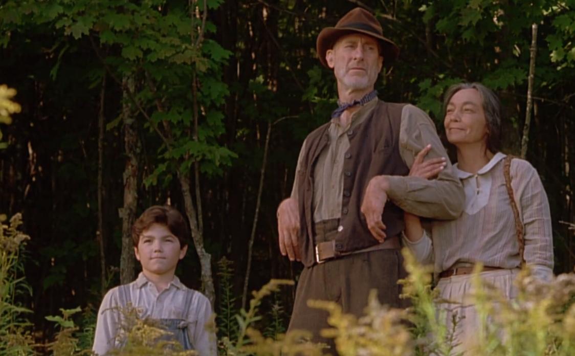 小树变大树励志故事,小树励志故事