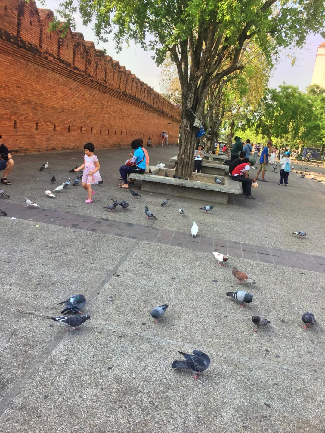 泰国有多好玩,泰国有什么好玩的东西