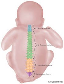后背脊柱中间凸是正常的吗,脊柱裂腰左侧凸起是怎么回事