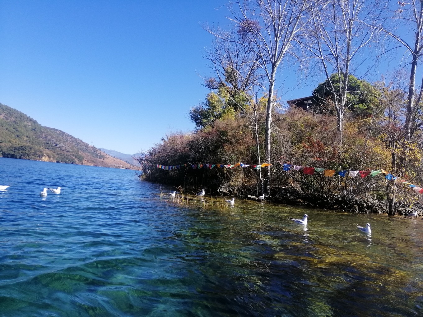 云南6日5晚自由行,云南六天五晚自由行