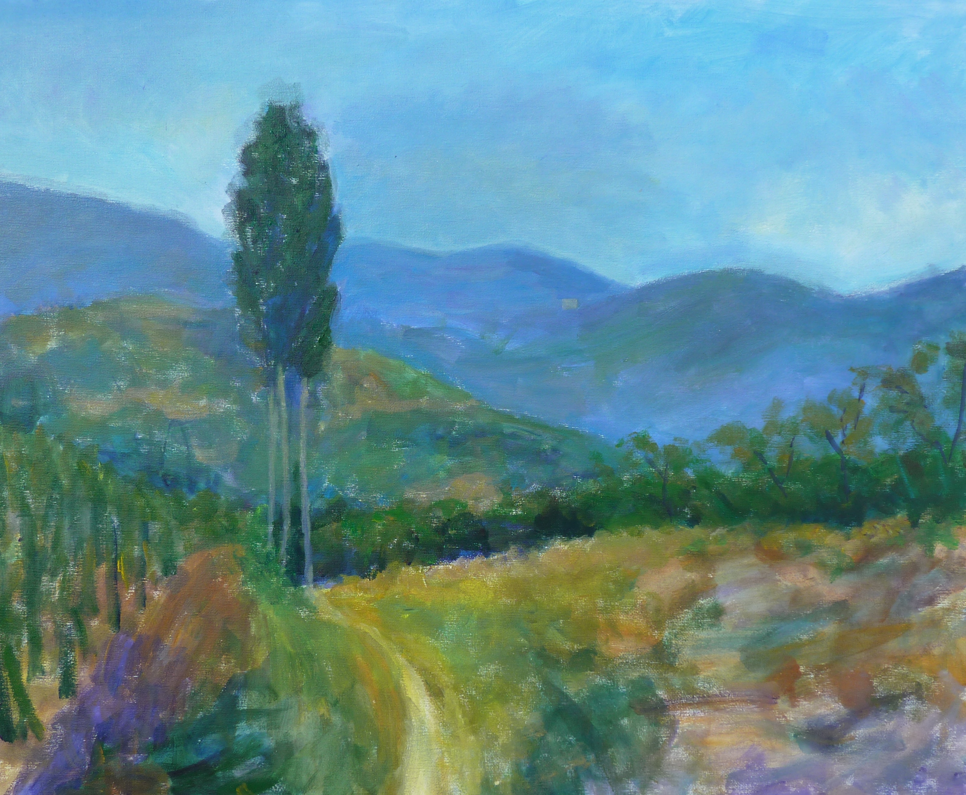 学丙烯画必备的工具和颜料,丙烯画笔和丙烯颜料