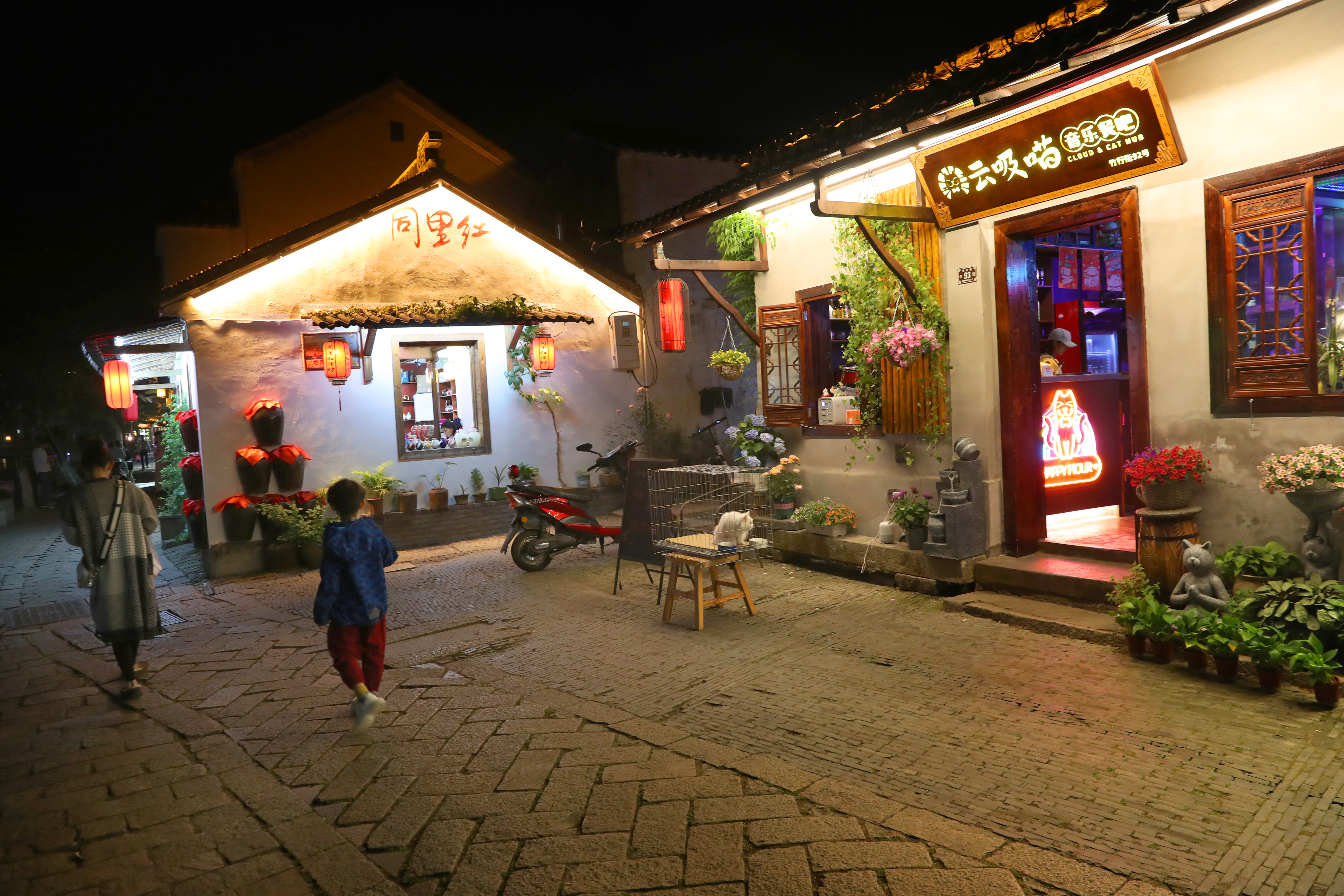 江南水乡古镇同里美景视频,同里古镇是世界文化遗产吗