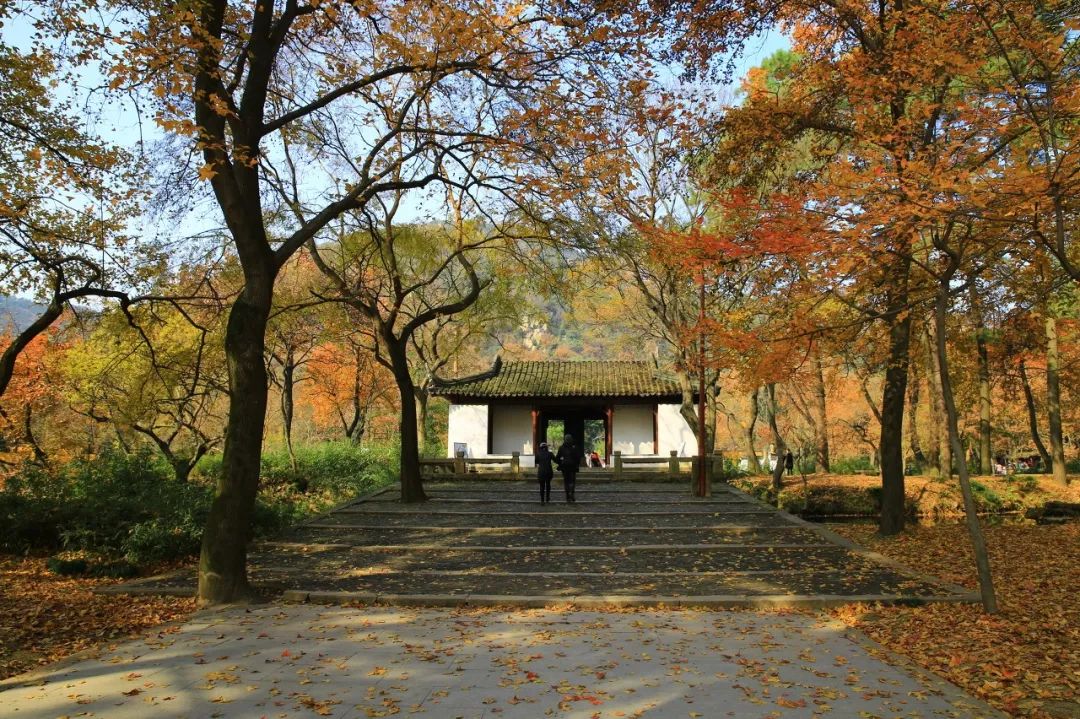 一入秋苏州成姑苏,秋色一入秋苏州就成了姑苏