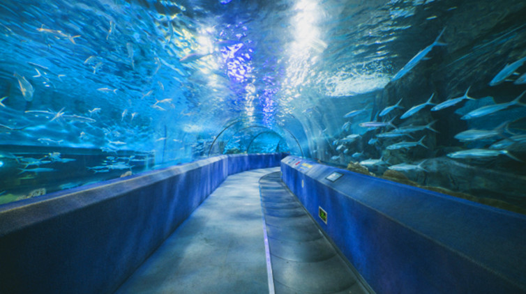 重庆汉海海洋公园探险,重庆汉海海洋公园介绍