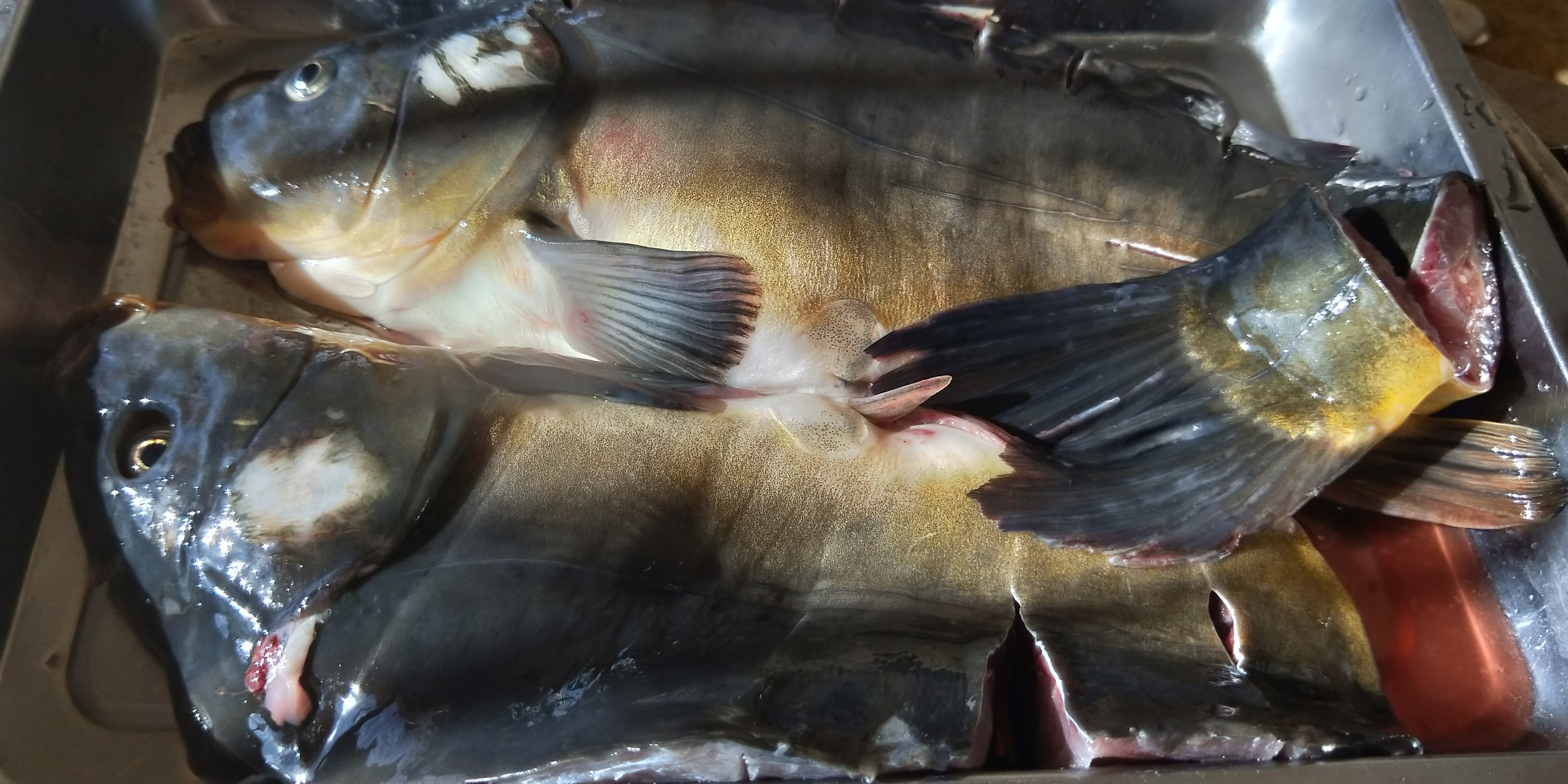 抚仙湖石锅桂花鱼,抚仙湖石锅鱼推荐最地道