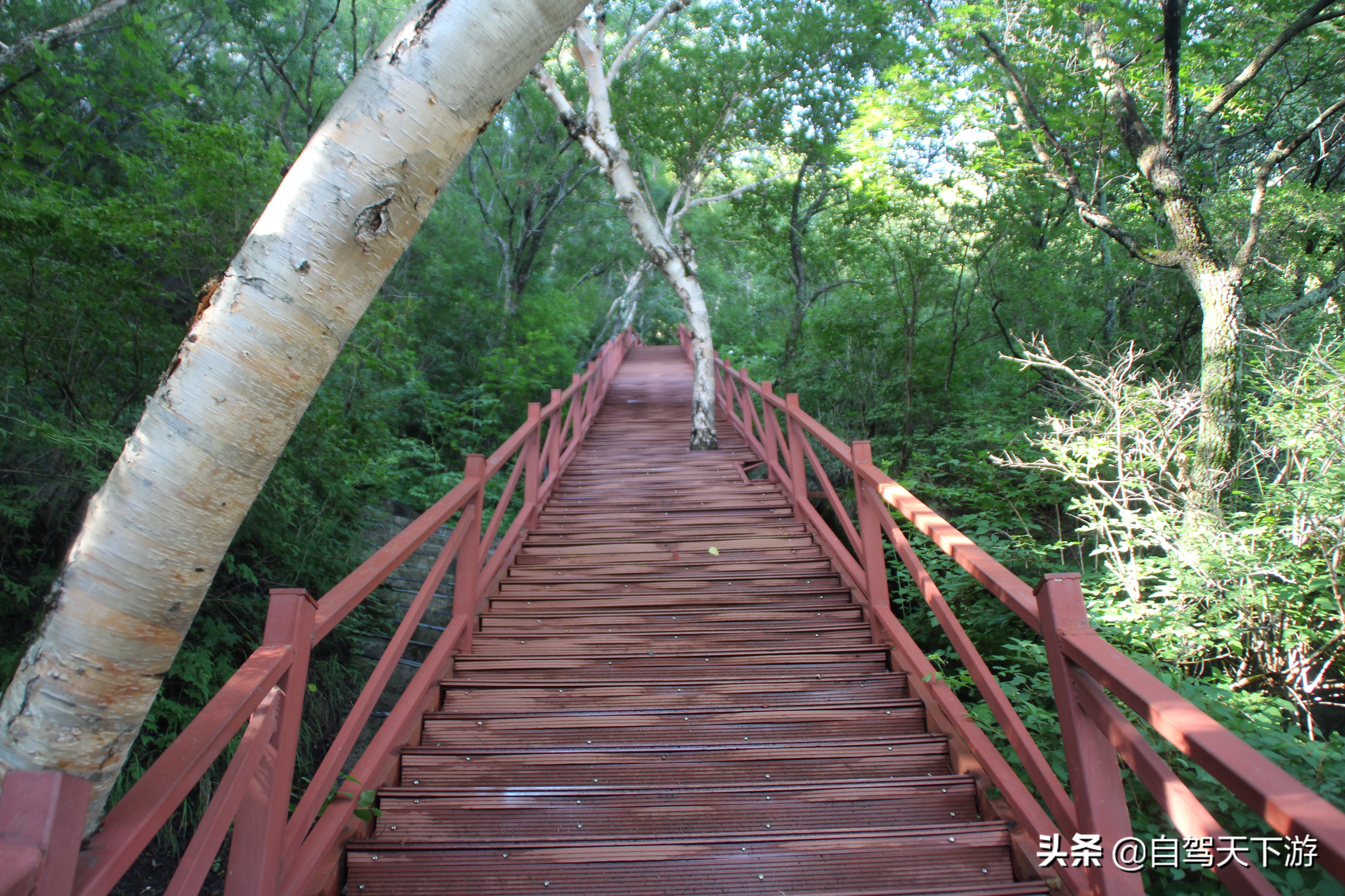 野三坡白草畔攻略,野三坡白草畔自驾游