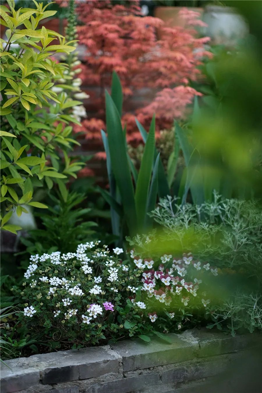 怎样打造露台花园,简单露台花园打造方法