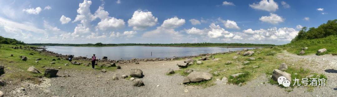 飞鸟越过珊瑚海,飞鸟越过山林