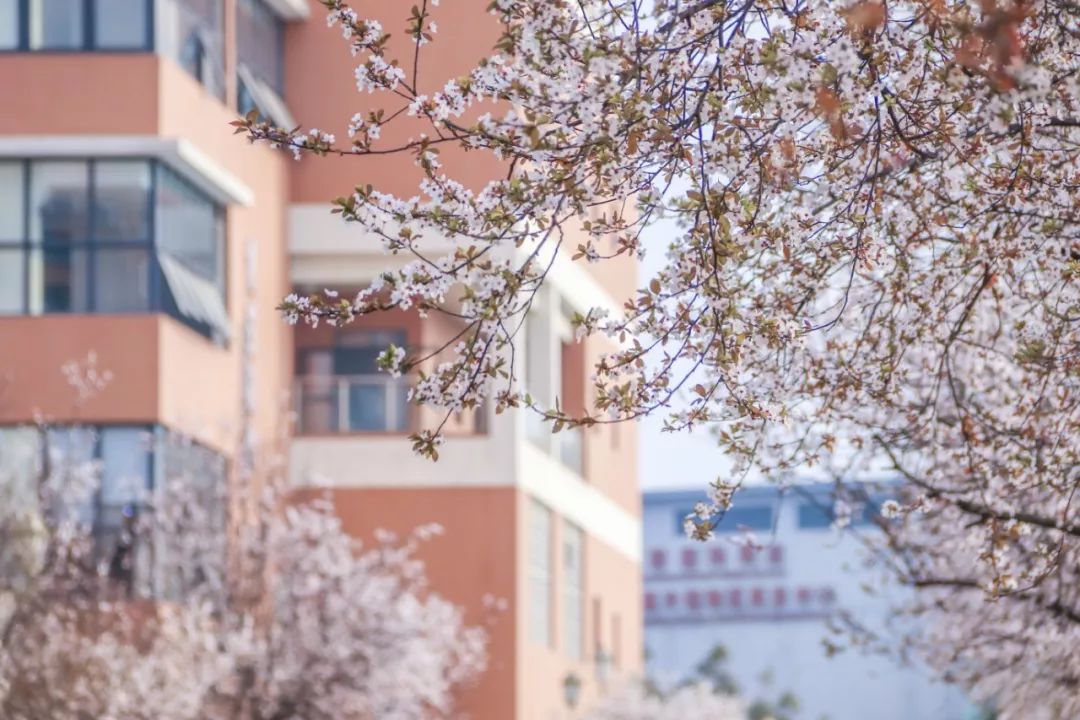 西南民大值得去读吗,西南民大是什么级别