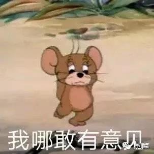 和男朋友分手了他跑来我的城市,和男朋友分手后跑去蚂蚁庄园