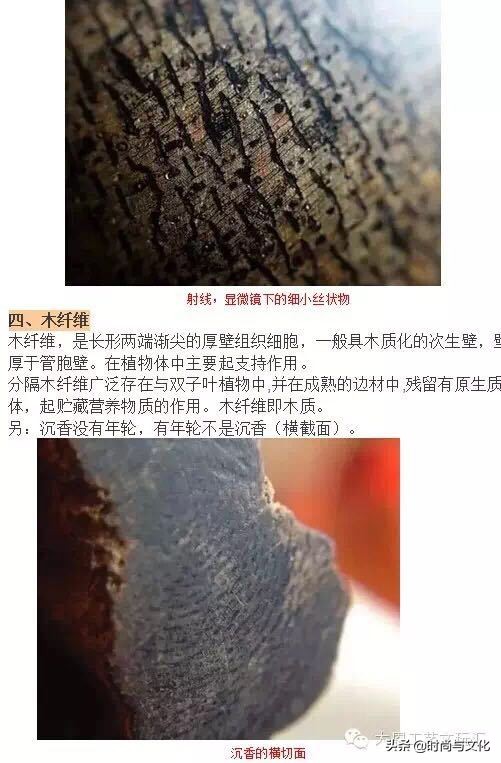 伍佰艺沉香真假鉴别,沉香手串鉴别真假沉香