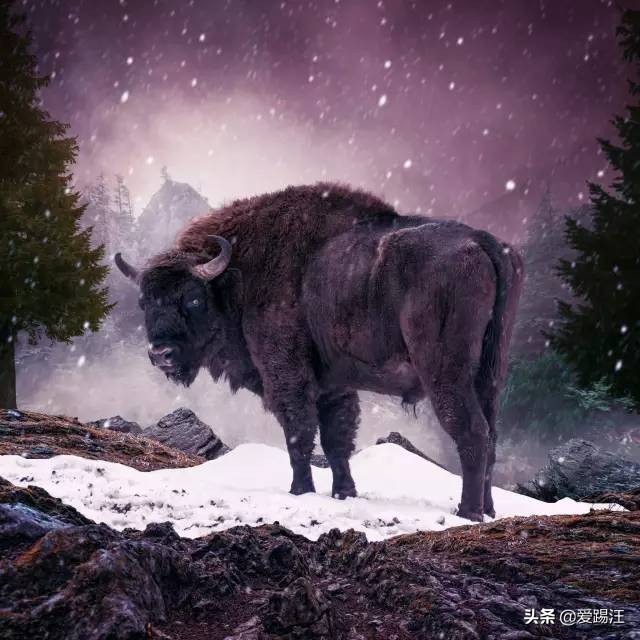 ps后期合成梦幻大场景,ps梦幻后期调色