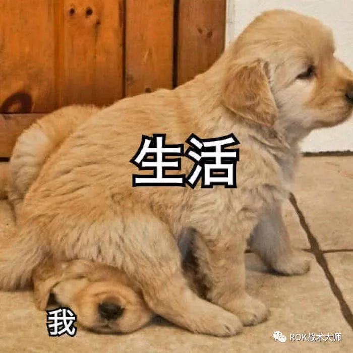 万国觉醒戒指图纸获得,万国觉醒埃及之战图纸