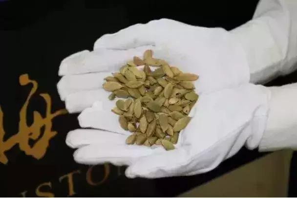 多次往返澳门被抓,在澳门被抓的人