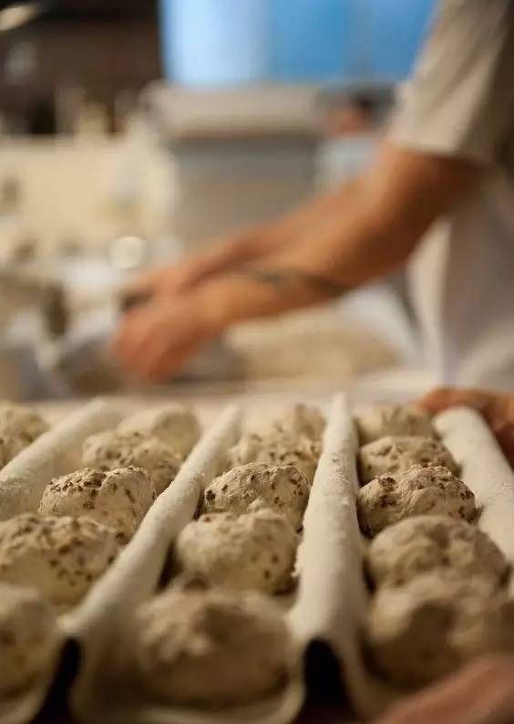 面包学习经历,面包烘烤阶段失误的处理方法