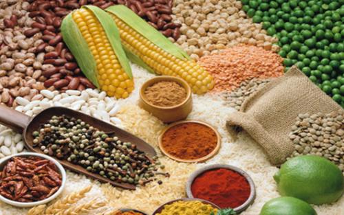 什么是霉菌性食道炎?得了霉菌性食道炎主要有哪些症状?