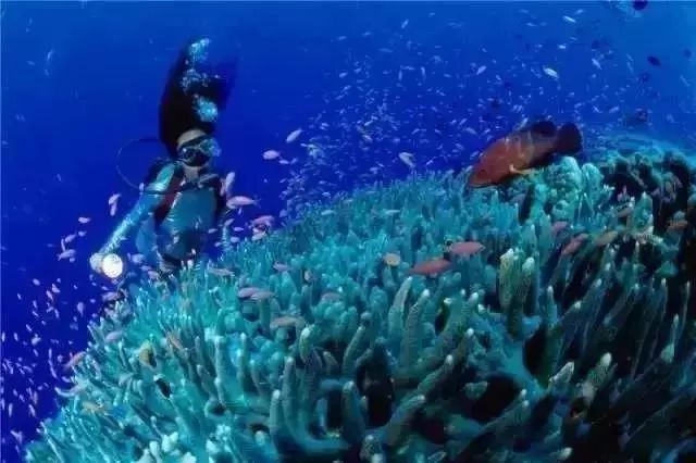 越南芽庄最便宜的旅游攻略,越南芽庄旅游攻略必买清单