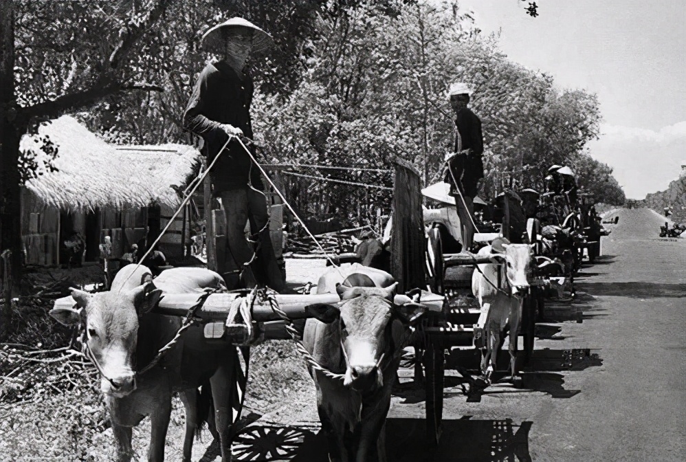 美国扶持的南越为什么会失败,美国为什么能保住南越