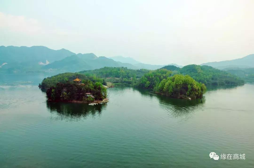 「品读」我的前男网友——以后真的不单独见面吗?/江河之王