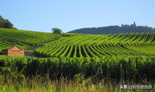 法国自由行攻略,法国攻略