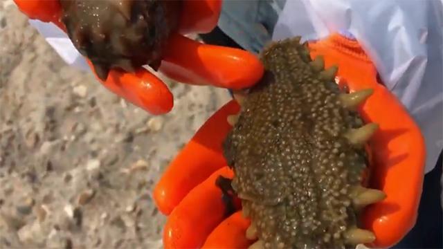 27岁姑娘创业失败,27岁姑娘白手起家400栋楼