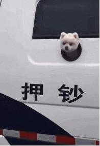 搞笑gif段子兄弟你把我吓到了,搞笑gif段子实在是猝不及防啊