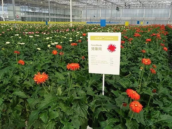 推动绿色发展（64）丨云南开远：污染之城蜕变为生态宜居之城