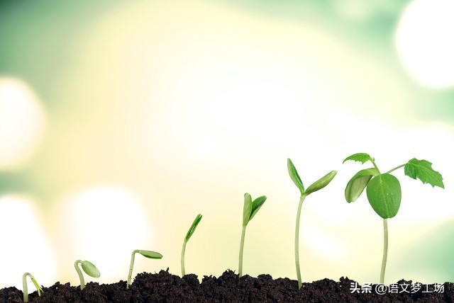 个人成长中考满分作文必背范文,成长类的中考作文题目