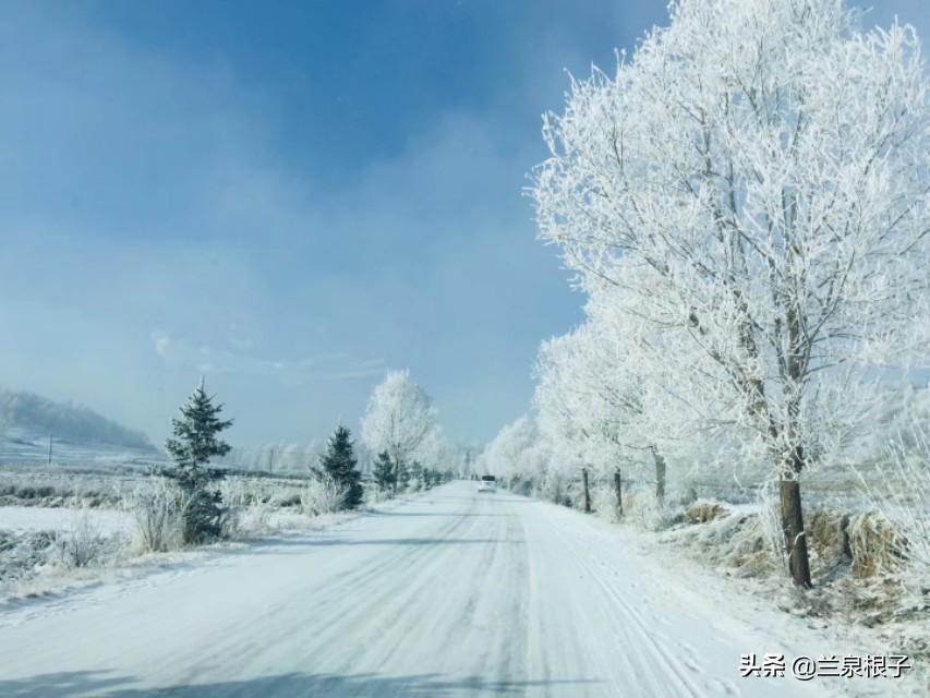 兰州市七里河区金色阳光幼儿园,金色阳光幼儿园大二班老师