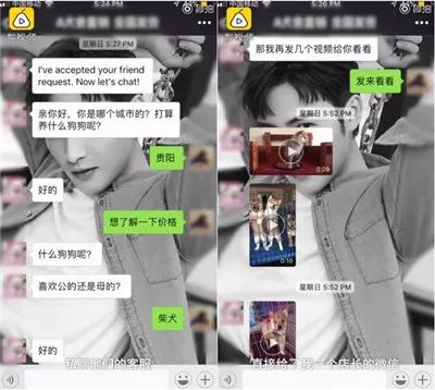 卖家秀vs买家秀破洞牛仔裤胖女,逼疯买家秀vs卖家秀大河向东流