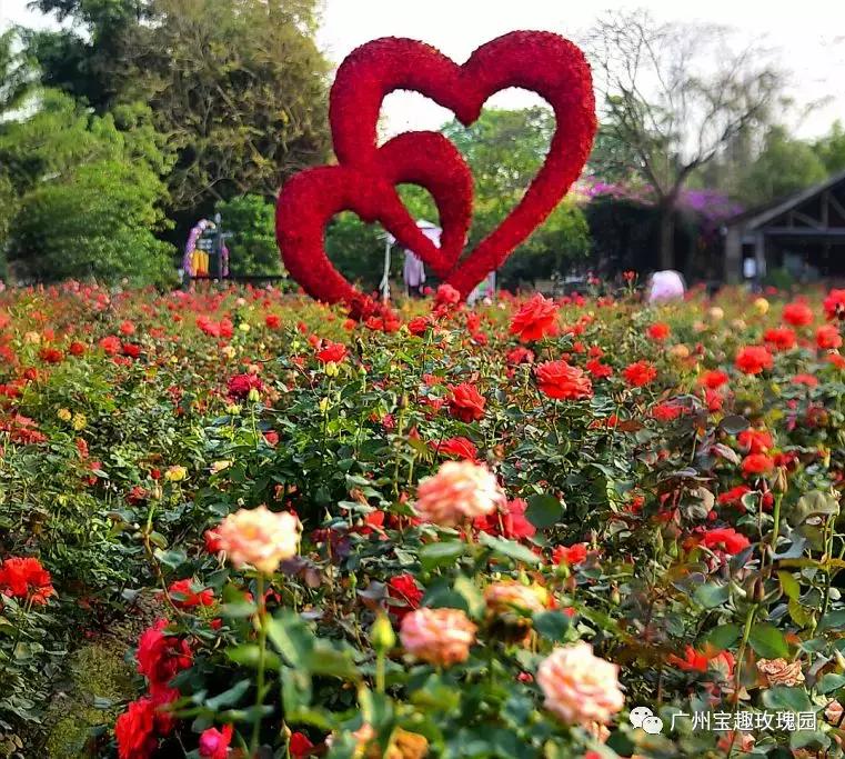 从化一日游最佳去处民宿,从化旅游线路攻略大全最新