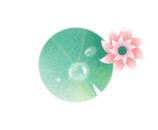 新河浦碧道公园,江门碧道公园