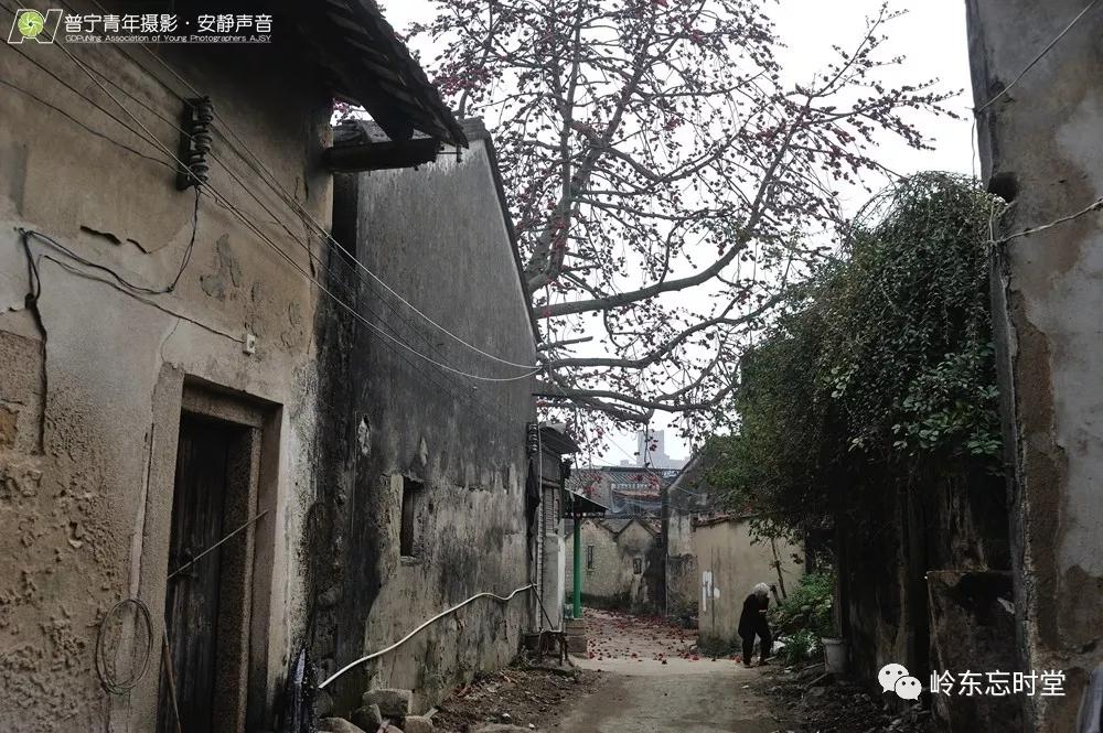 澄海樟林历史,澄海樟林新兴街