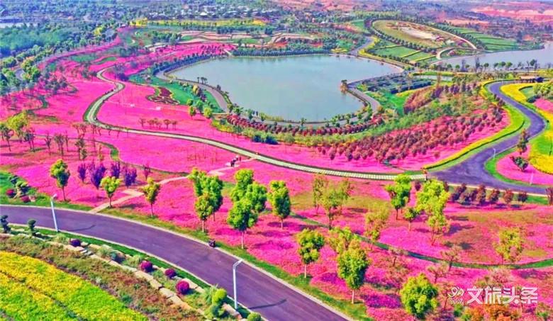 来到这个花田胜景小镇,拥抱“南国御养”健康生活目的地