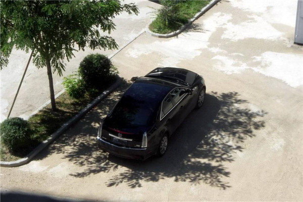 新车车漆失去光泽怎么处理,刚提车发现掉漆