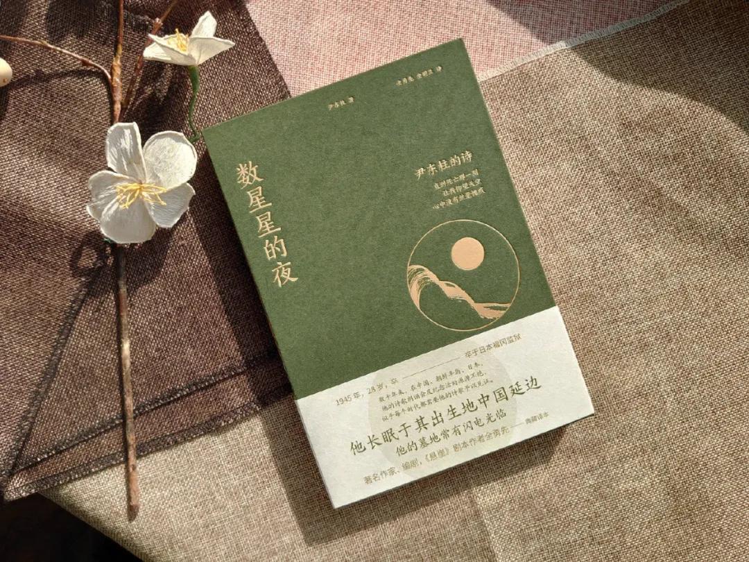 数星星的月亮合拍,数星星的夜诗集