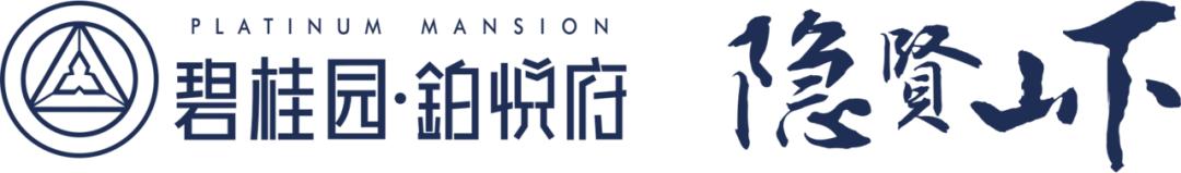 东莞千亿镇计划,东莞有哪些千亿产业集群