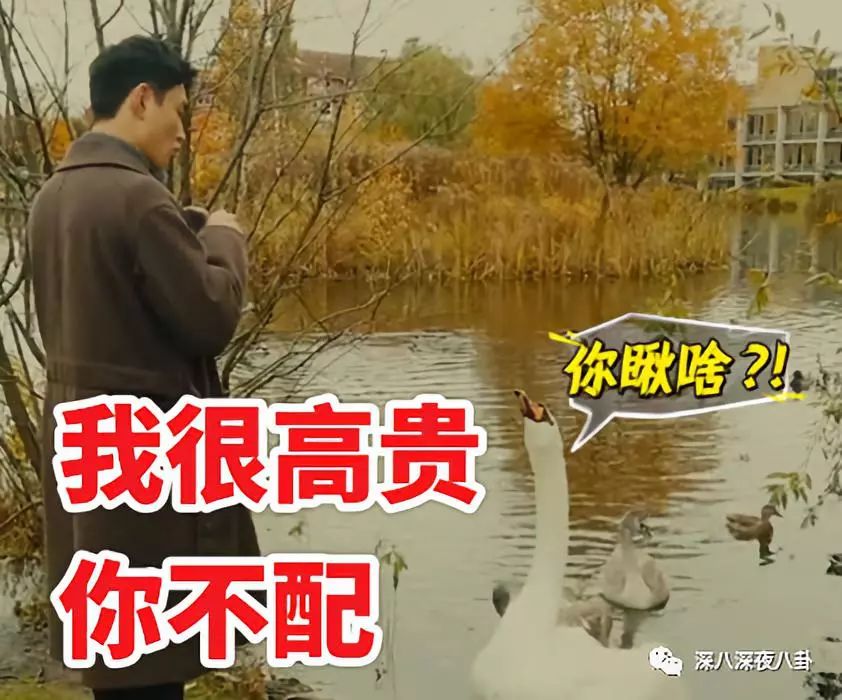 黄子韬对男人的表白,黄子韬最想表白的人