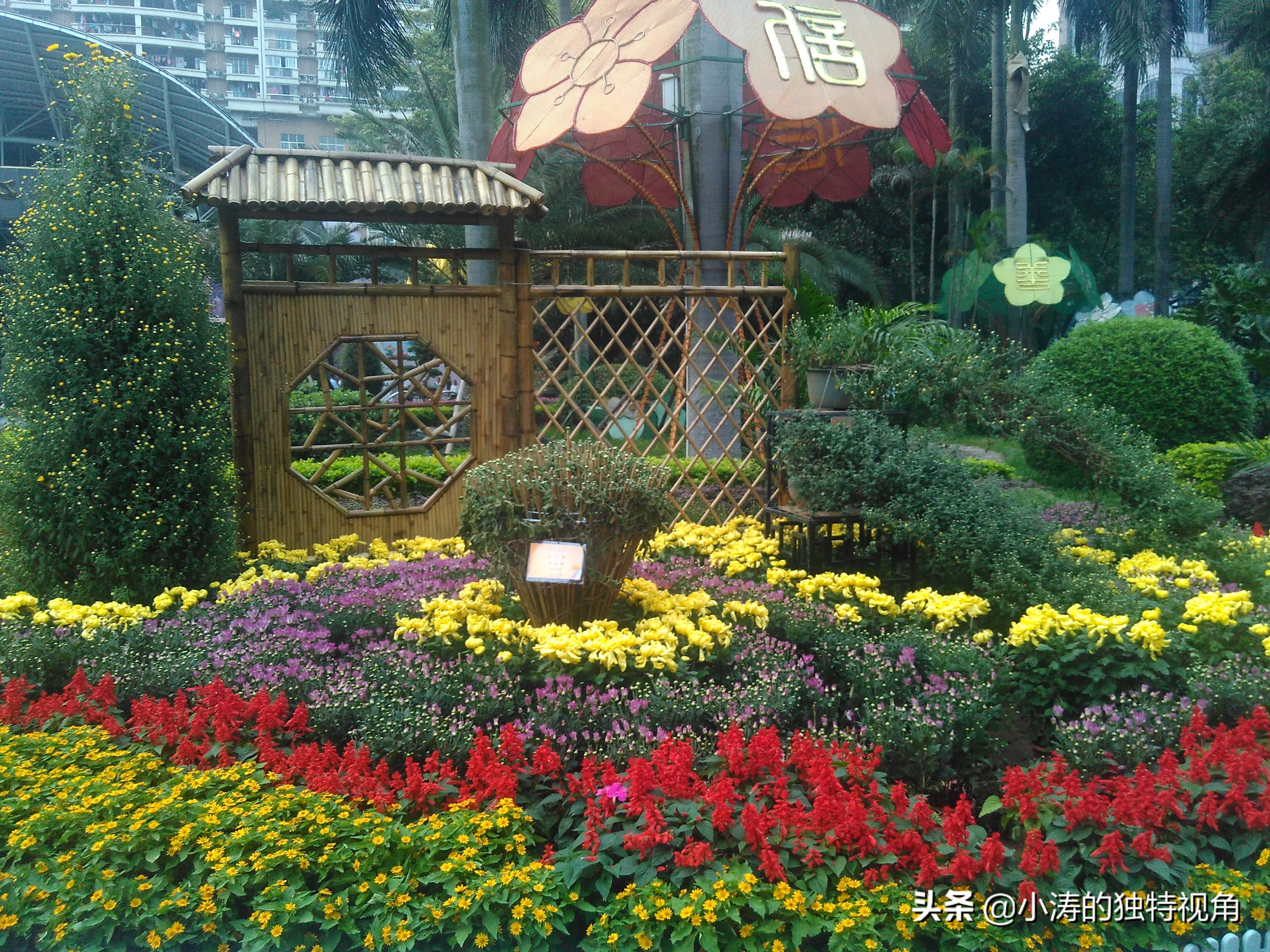 魅力之都,魅力广州活力四射