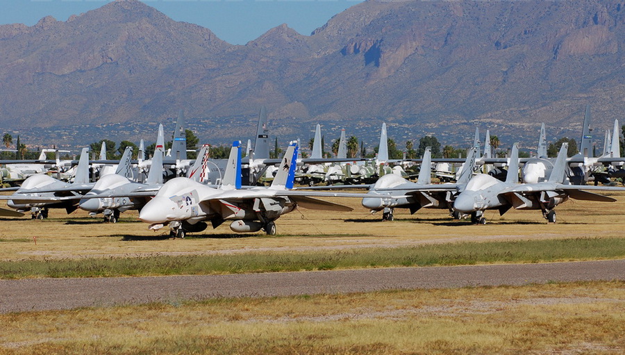 猫咪需要哪些用品,猫迷惑新技能