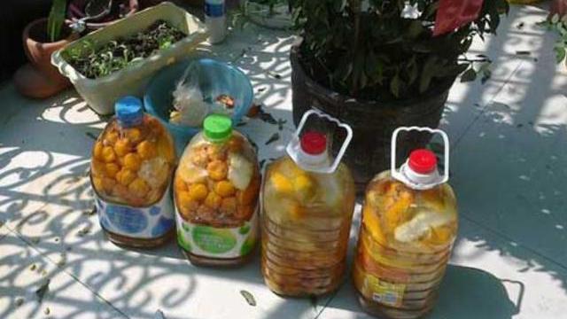 零成本自己制作有机肥,自制有机肥一般多长时间用