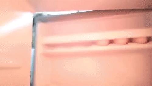 解决冰箱又臭又脏的方法,冰箱臭味严重怎么快速去除小妙招